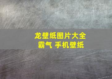 龙壁纸图片大全 霸气 手机壁纸